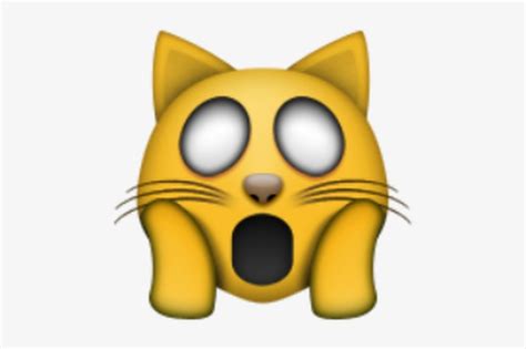 Download Photo Shocked Cat Face Emoji Transparent Png Download