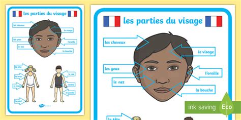 French Body Parts Posters Teacher Made Twinkl