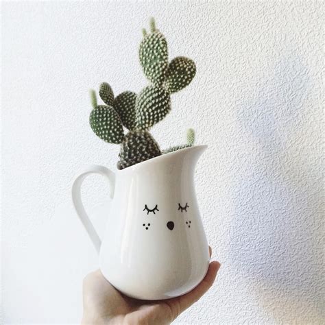 A cactus also removes and drops itself as an item, if a piston tries to push it (trying to pull it does nothing) or when it becomes 15, a new cactus block is created on top as long as the total height does not exceed 3. Ça pousse ici 😀🌱#succulent #plants #nature #home # ...