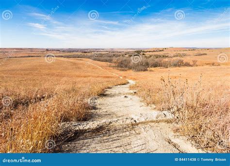 Path Through A Flint Hills Prairie Stock Photo Image Of Natural Path