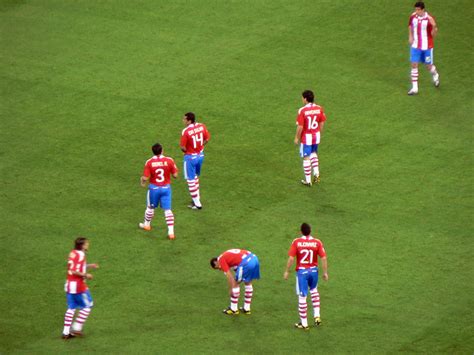 Filefifa World Cup 2010 Italy Paraguay3 Wikimedia Commons