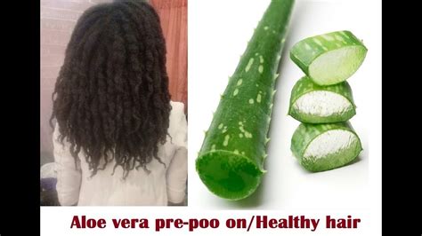 aloe vera gel pre poo healthy hair treatment youtube