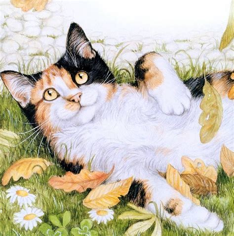 Кошки Debbie Cook 25 фотографий ВКонтакте Cat Art Illustration