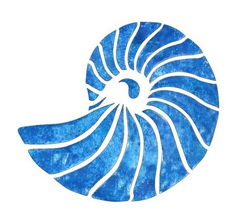 Nautilus Shell Stencil Etsy In 2020 Nautilus Shell Shell Drawing