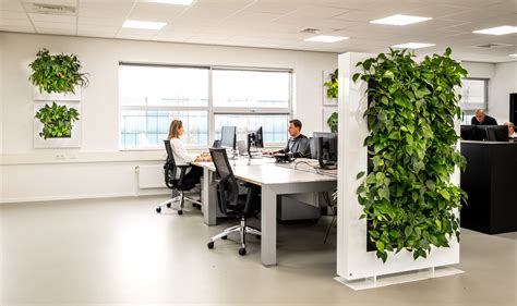 Improve Your Open Office With Plants Mobilane