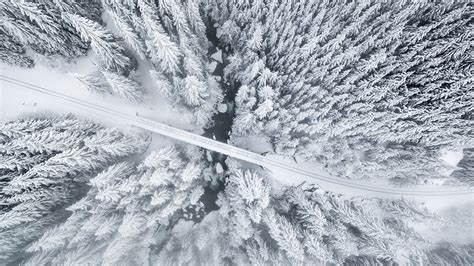 Photo Winter Nature Snow Roads From Above Trees 1920x1080