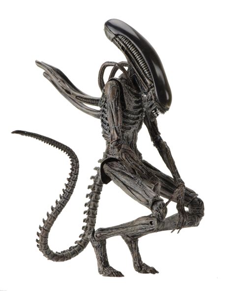 Let us know what you thought of the flick by posting your thoughts in the fan reviews thread in the neca have finally taken the wraps off their neomorph and xenomorph figures based on the creatures from the new alien movie. NECA Reveals Neomorph & Xenomorph Alien Covenant Figures ...