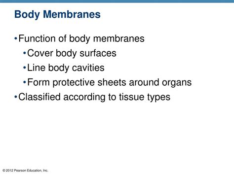 Ppt Skin And Body Membranes Powerpoint Presentation Free Download