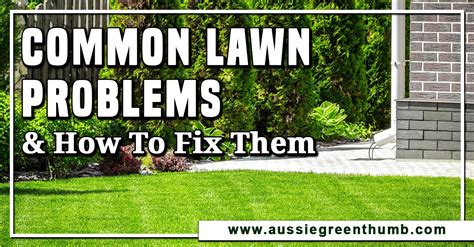 9 Common Lawn Problems And How To Fix Them Agt