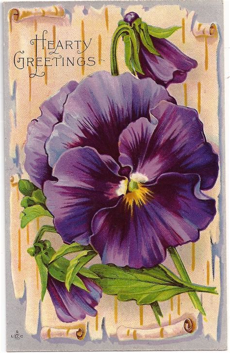 Leaping Frog Designs Free Vintage Clip Art Antique Pansy Post Card