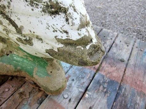 How To Paint Concrete Garden Statues Like This Goose And Cactus