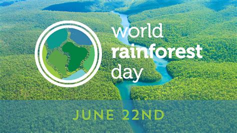 However, according to recent ecdc findings, only a few countries across the eu/eea have met the 2020 target of the european action plan in diagnosing 50% of. World Rainforest Day - 22 June 2020 | Convention on ...