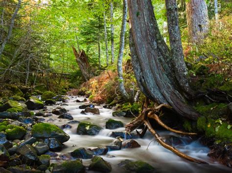 Mount Hood In Oregon Forest Stream Landscape Wallpaper Hd 3840x2400 ...