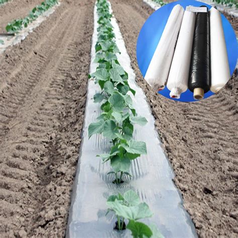 Agricultural Plastic Nursery Mulch Row Cover White And Black Weed Barrier