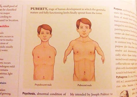 79 Of The Most Hilarious Things Ever Found In Textbooks Bored Panda