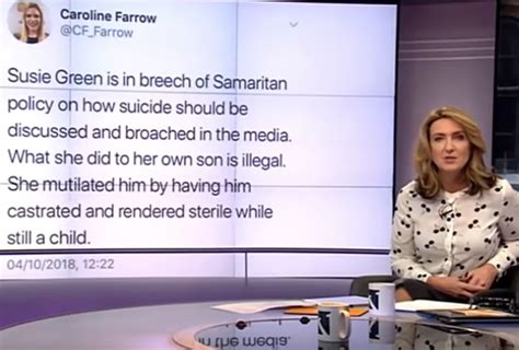 Susie Green To Withdraw Police Compliant About Caroline Farrow Tweets Daily Star