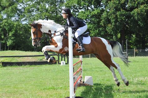 Show Jumping Mid Surrey