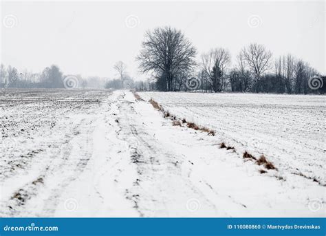 Snowy Countryside Road In The Fields Stock Photo Image Of Fields