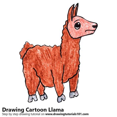 Cartoon Llama Cartoon Llama Cartoon Drawing Tutorial