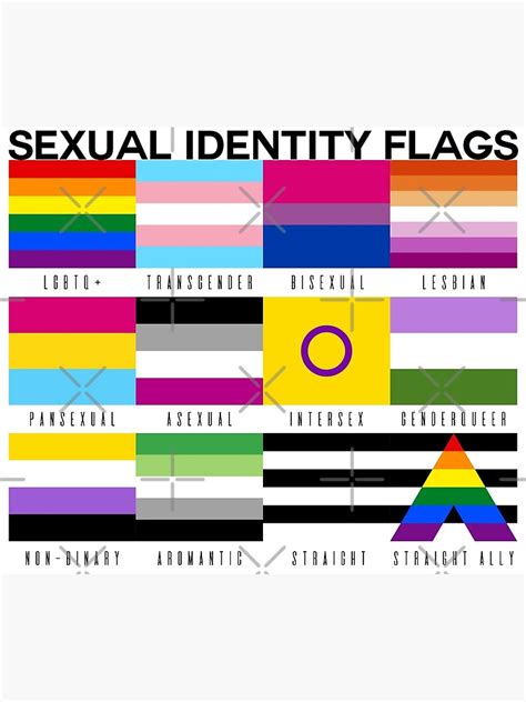 Sexual Identity Pride Flags Lgbtq Pride Month Poster For Sale By Priscimissy Redbubble