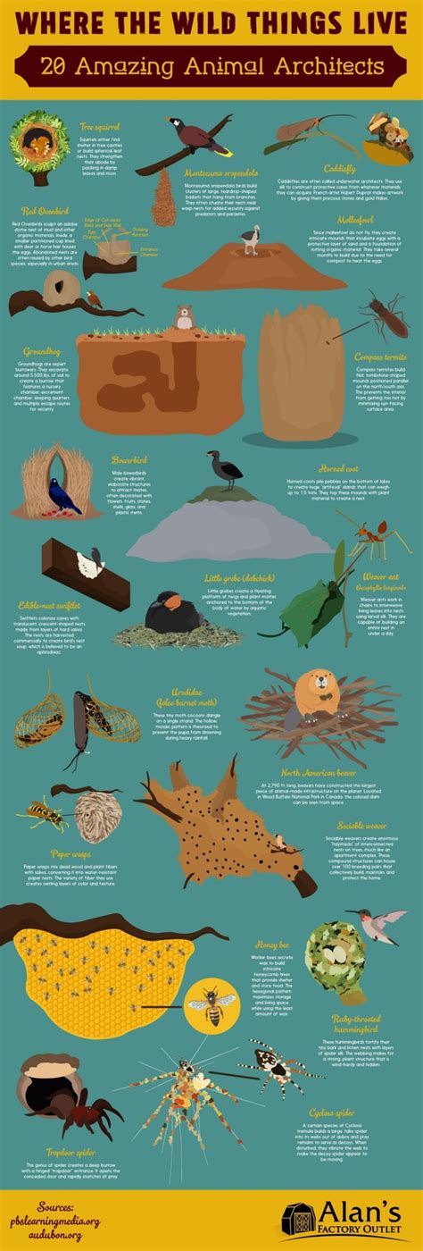 20 Awesome Animal Habitats Infographic Daily Infographic In 2020