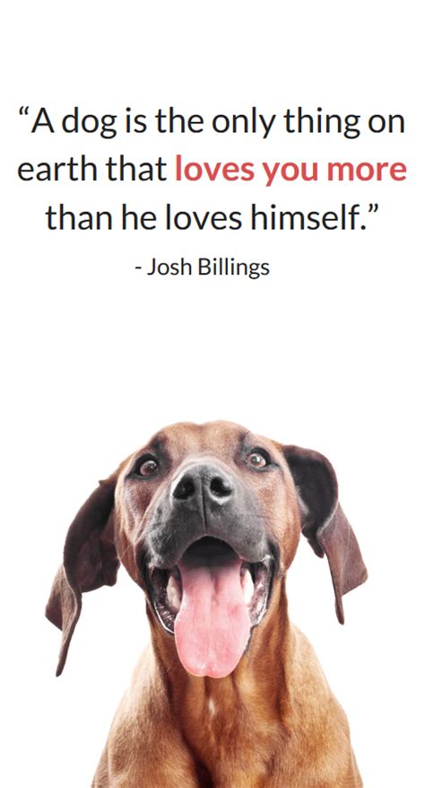 25 Sweet And Heartwarming Dog Quotes Puppy Leaks