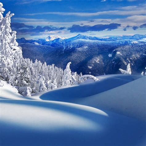 Canada Nature Winter Wallpapers Top Free Canada Nature Winter
