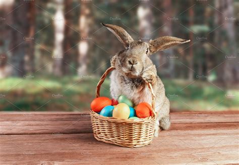 Easter Rabbit Holiday Photos Creative Market