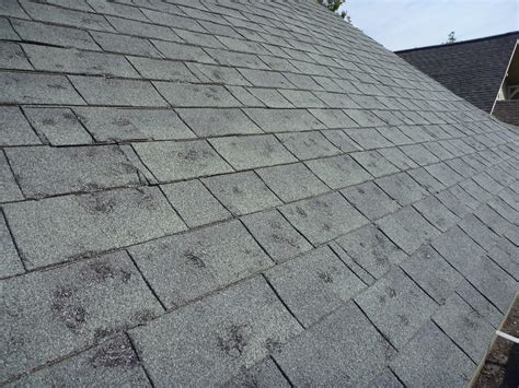 Got Hail Roof Hail Damage Restoration Cost What To Expect