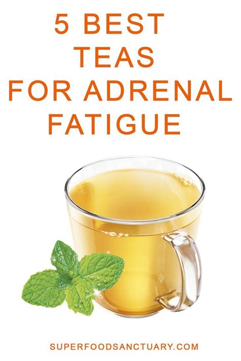 Top 5 Best Teas For Adrenal Fatigue Get Your Energy Back In 2021