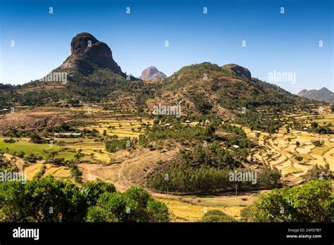 Ethiopia Tigray Adwa Agricultural Fields At Harvest Time Amongst