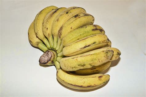 19 Types Of Bananas And What To Do With Them Only Foods