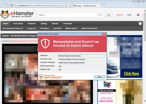 Malvertising Strikes On Adult Site Xhamster Again Malwarebytes Labs