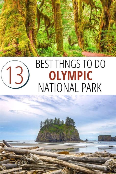 13 Epic Things To Do In Olympic National Park Solo Trips And Tips