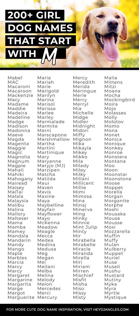 200 Girl Dog Names That Start With M Hey Djangles Girl Dog Names