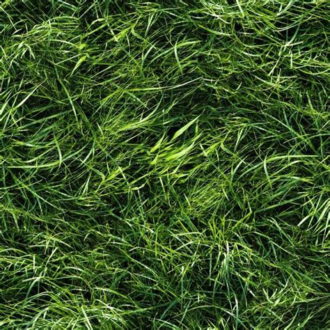 Green Grass Is Shown In Close Up View