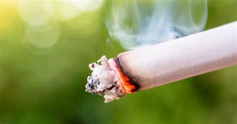 Las Toxinas Del Tabaco Llegan Hasta Los Lugares Donde Se Proh Be Fumar