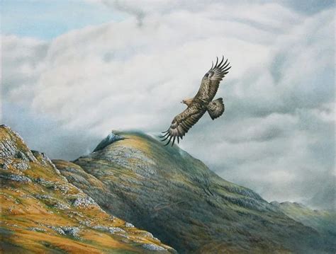 ‘golden Eagle Over Ladhar Bheinn Knoydart Colin Woolf Fine Art