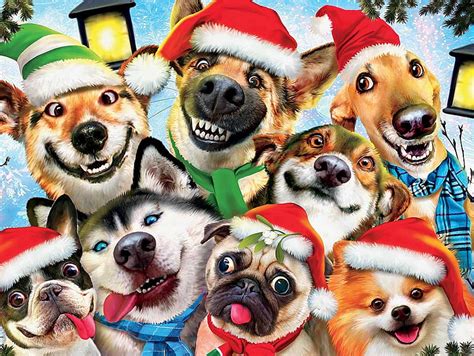 771 Background Christmas Dog Pics Myweb