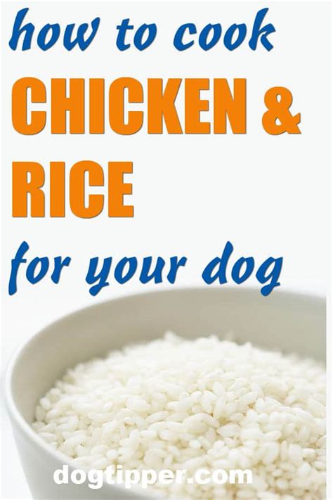 Online, article, story, explanation, suggestion, youtube. How to Cook Chicken and Rice for Dogs