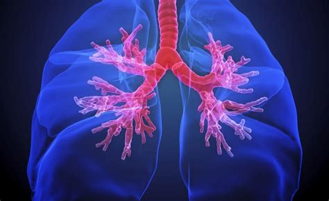 Summary Of 2018 Idiopathic Pulmonary Fibrosis Diagnostic Guidelines
