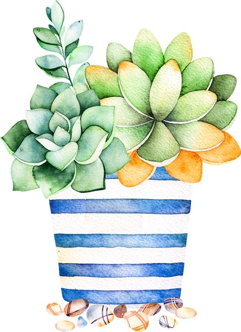 Blue Striped Flower Pot Cartoon Transparent Succulent Plant Succulent