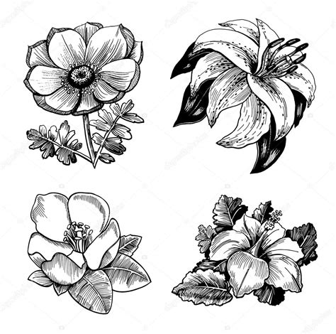 Ver más ideas sobre dibujos de flores, dibujos, flores para dibujar. Flores para dibujar, colorear, imprimir y Tutoriales para ...
