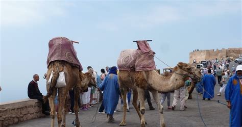 Riding a camel is a unique experience and where better to do it than in the authentic setting that is the desert. Camel rides, Agadir. Morocco by Don20 | ePHOTOzine