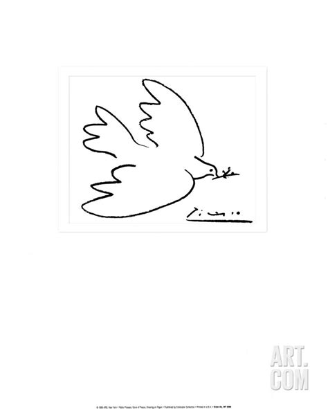 Dove Of Peace By Pablo Picasso Picasso Dove Of Peace Peace Art