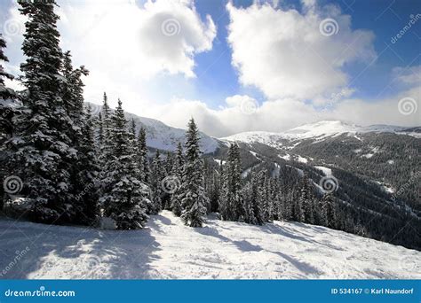 Snowy Alpine Forest Stock Image Image Of Blue Pine Snow 534167