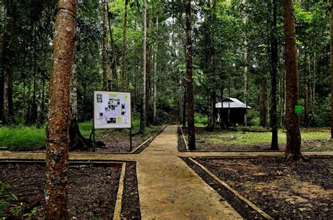 Kawasan Pelestarian Alam Taman Wisata Alam Sorong Kota Sorong