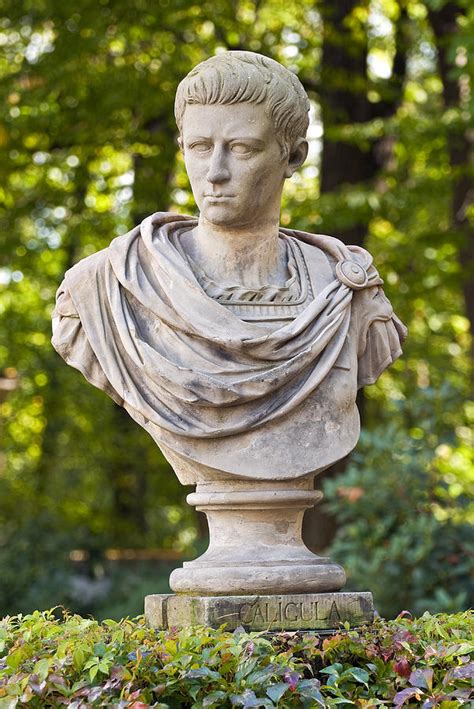 Roman Emperor Caligula Photograph By Fernando Barozza Pixels