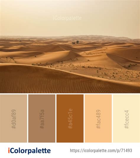 Color Palette Theme Related To Aeolian Landform Desert Dune