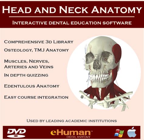 Ehuman Digital Anatomy Releases Head And Neck Anatomy Atlas